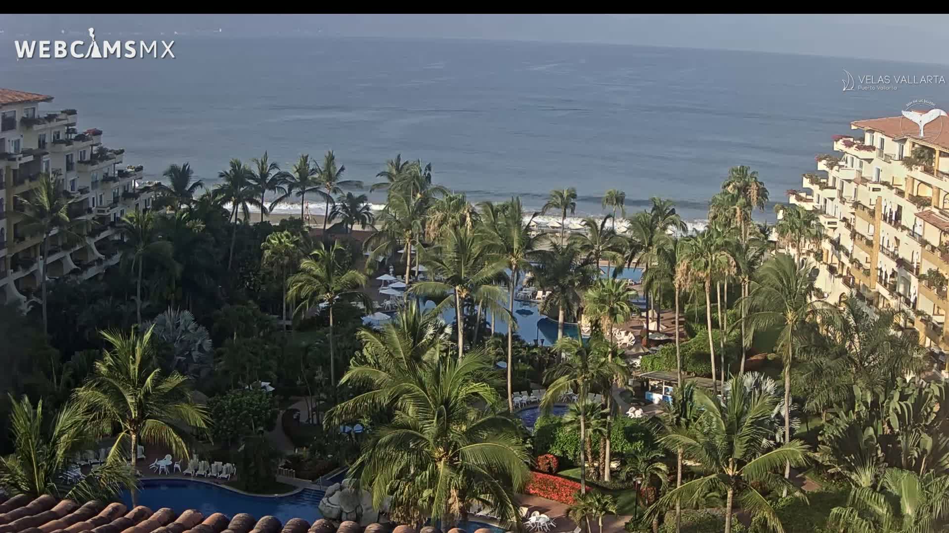 A resort with multiple pools surrounded by palm trees overlooks a calm ocean on a clear day.