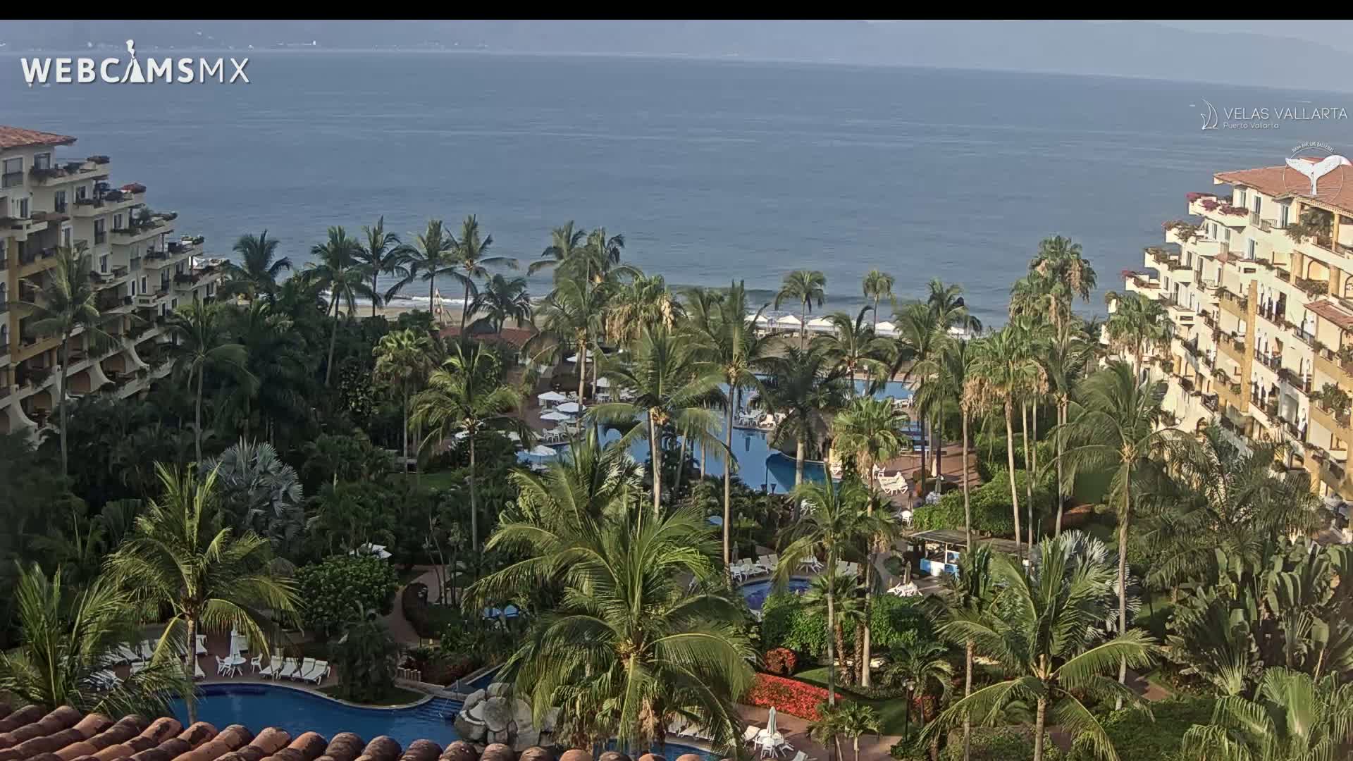 A tropical resort with multiple pools and palm trees sits on the coast, overlooking a calm ocean on a sunny day.
