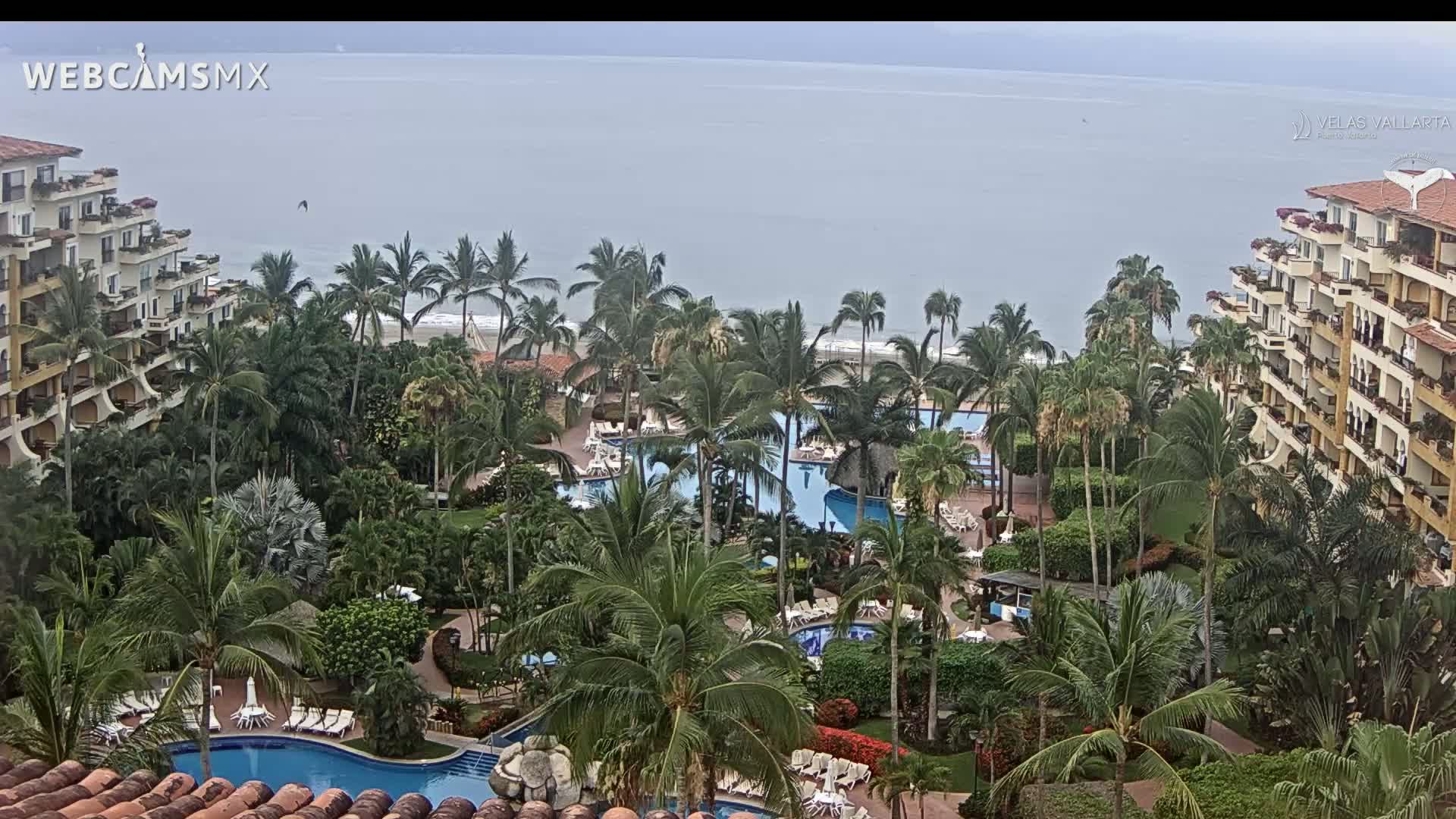 An aerial view shows a tropical resort with multiple pools surrounded by palm trees and buildings overlooking a calm ocean under an overcast sky.