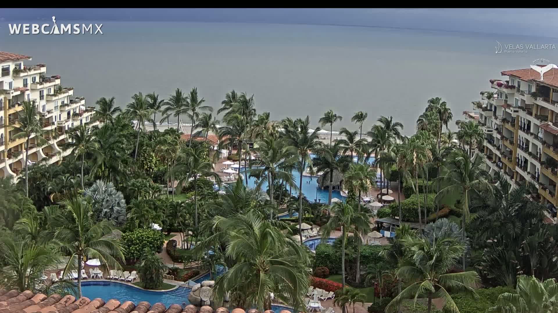 Puerto Vallarta Playa Bocanegra Beach Live Cam - Puerto Vallarta, Jalisco, Mexico