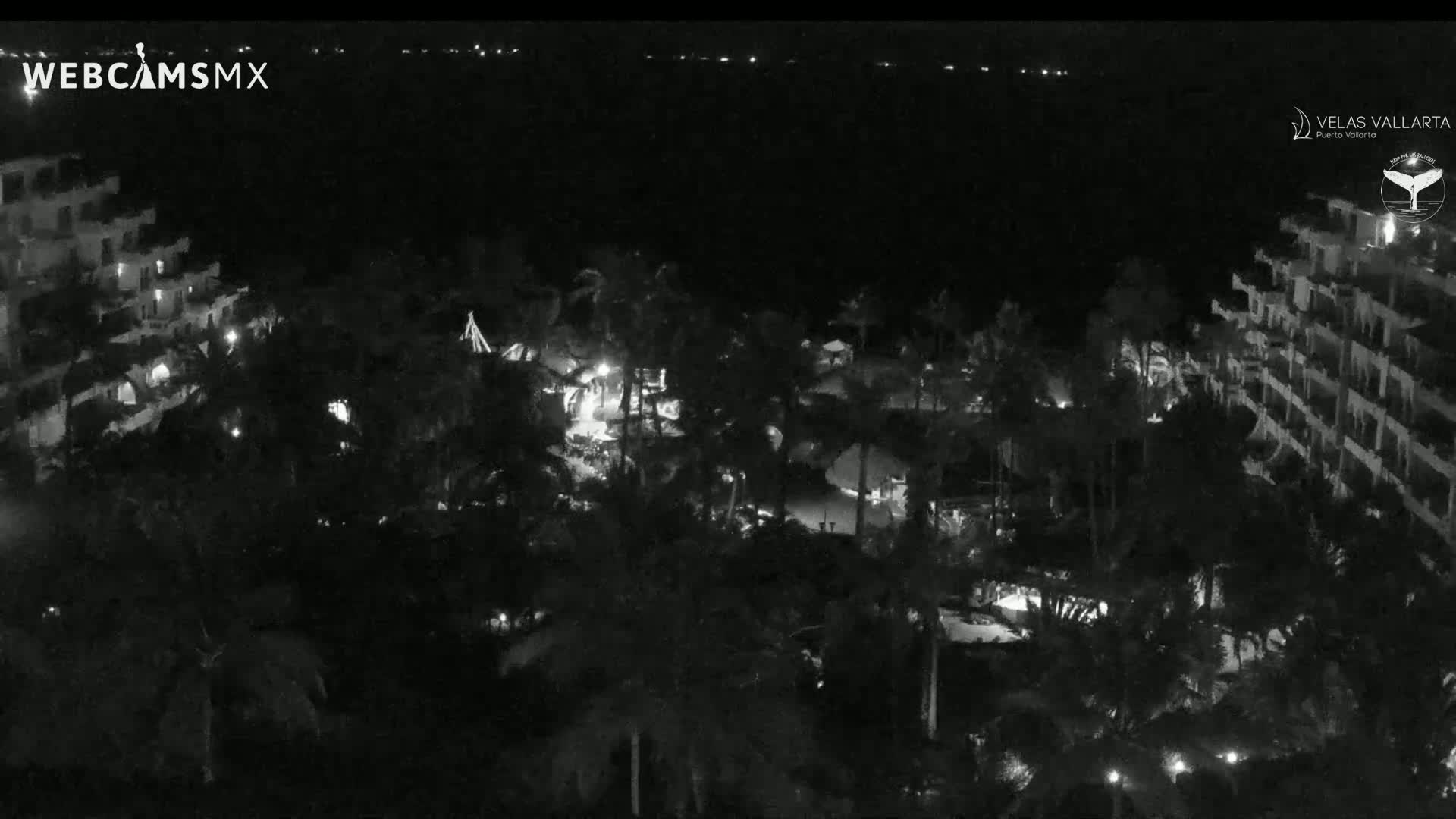 Puerto Vallarta Playa Bocanegra Beach Live Cam - Puerto Vallarta, Jalisco, Mexico