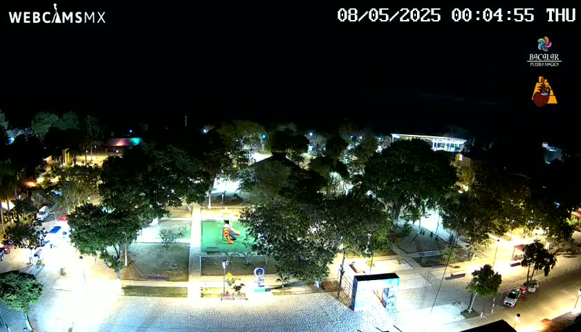 A nighttime aerial view of a park with illuminated pathways and trees, a few vehicles on the streets surrounding it, and a playground visible in the center.