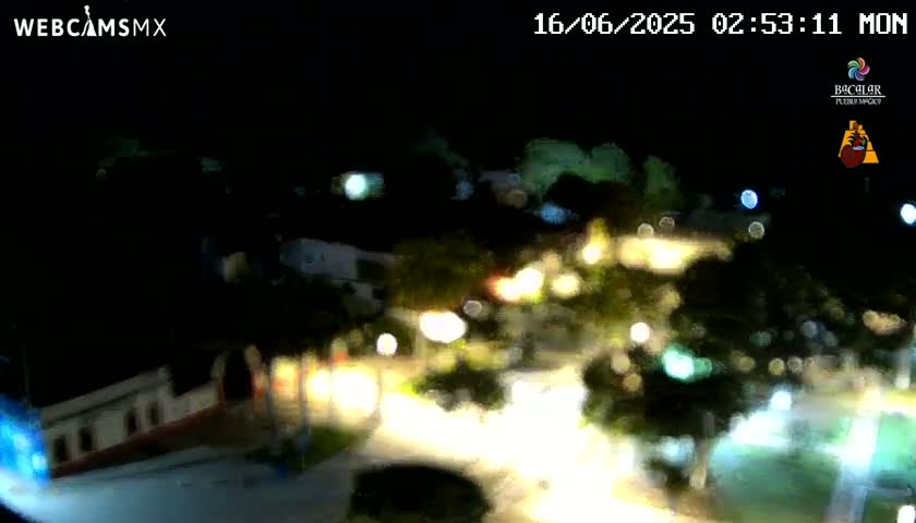A nighttime, blurry view of a town square with illuminated buildings and trees under a dark sky.