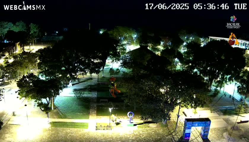 An aerial nighttime view of a park with many trees and pathways, illuminated by lights.
