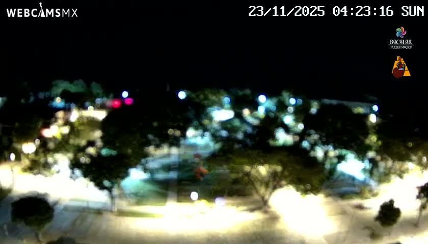An extremely blurry nighttime view captures an outdoor area illuminated by numerous diffuse streetlights and other bright sources, with indistinct dark shapes of trees and structures visible under clear conditions.
