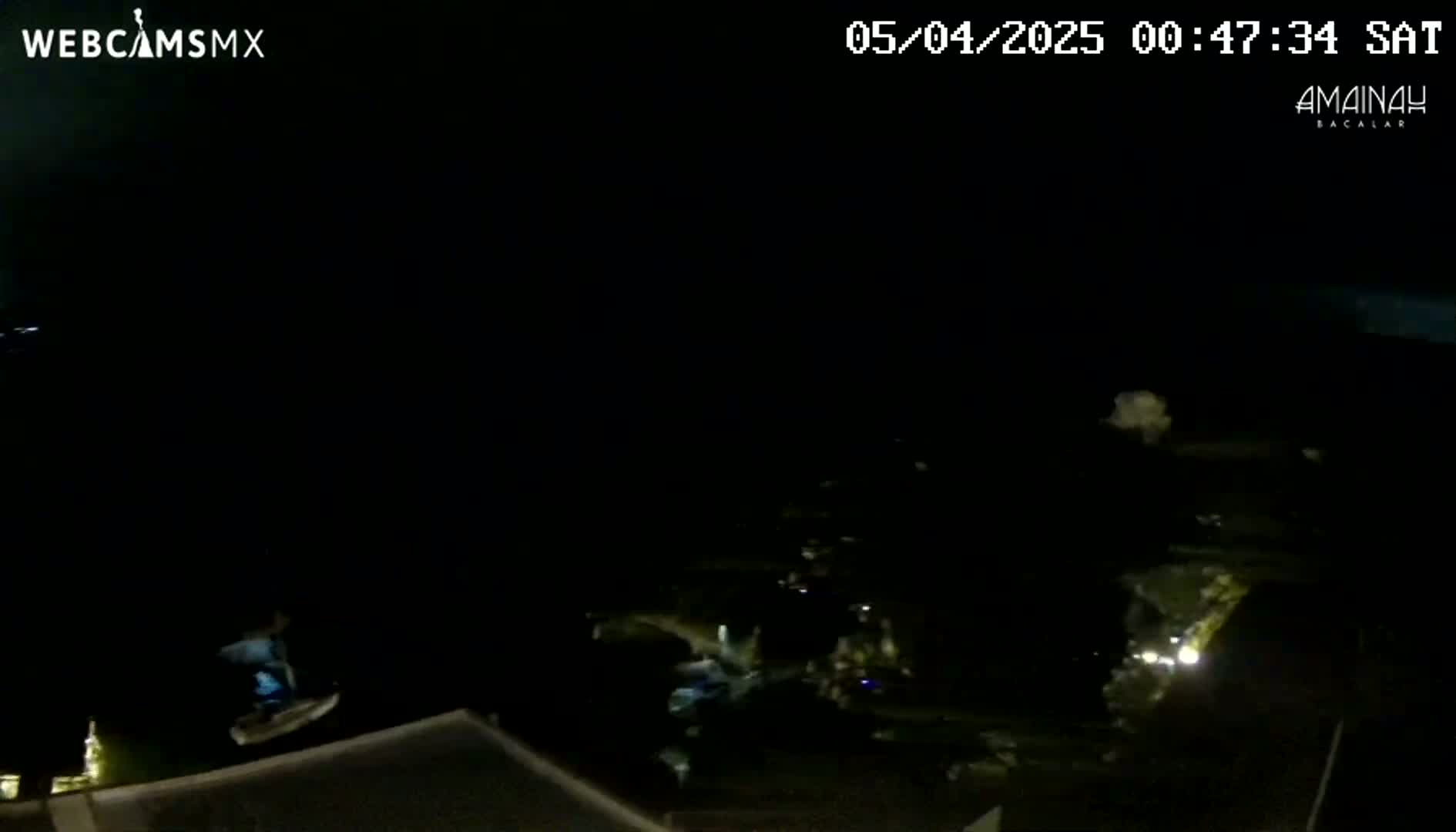 A nighttime, low-light view of a dark shoreline with some faint lights visible in the distance.