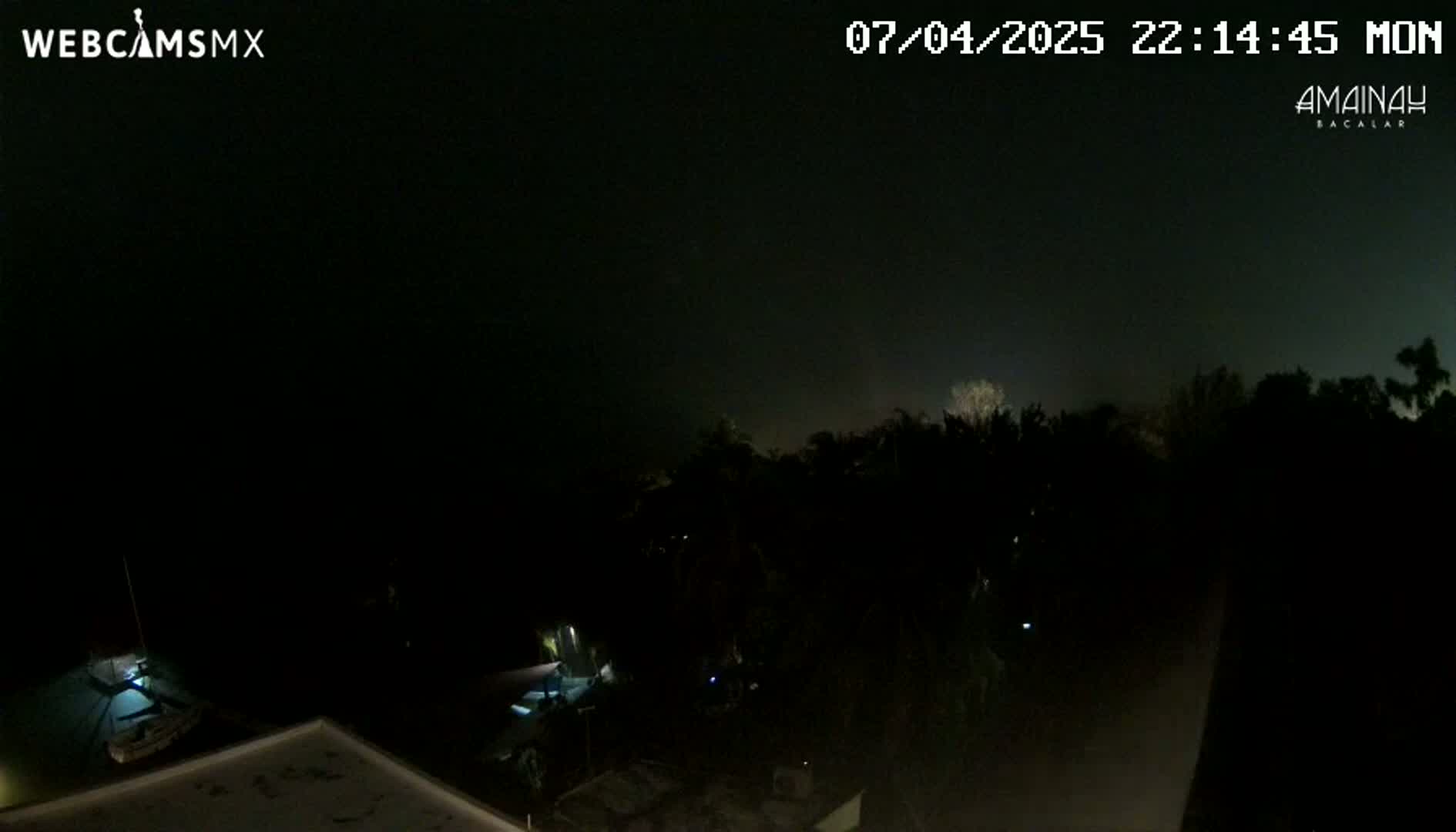 A nighttime, hazy view of a dark waterfront area with boats and vegetation.