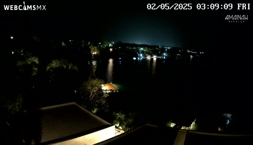 A nighttime view of a dark body of water with lights on the opposite shore and a few lights visible on the water, surrounded by dark trees and buildings.