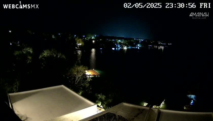 A nighttime view overlooking a dark body of water with a few illuminated buildings and trees on the shore.