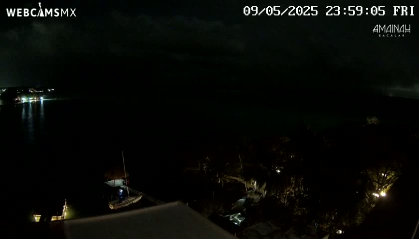 A nighttime view of a dark body of water with a few boats docked, a shoreline with dimly lit vegetation, and a dark, cloudy sky.