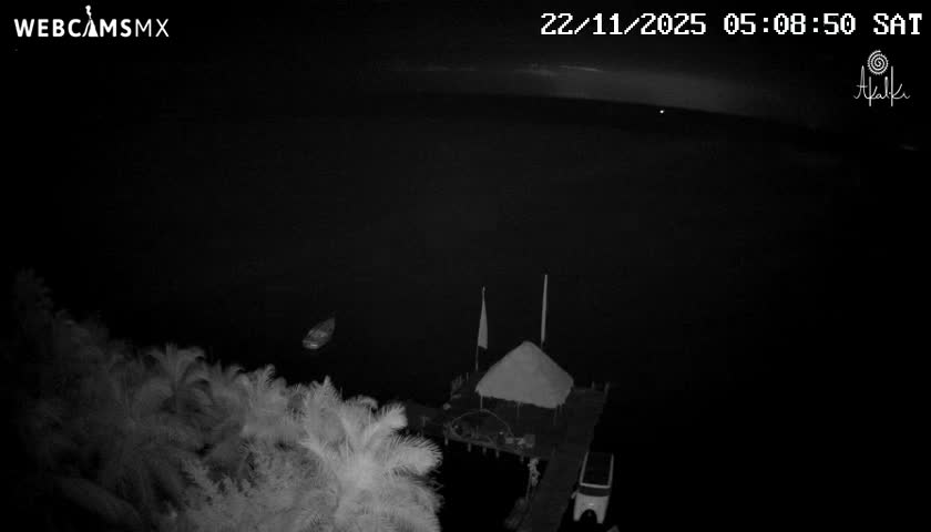 A night vision image shows a calm body of water with a thatched-roof hut on a pier, several palm trees, and a small boat under a clear, dark sky.