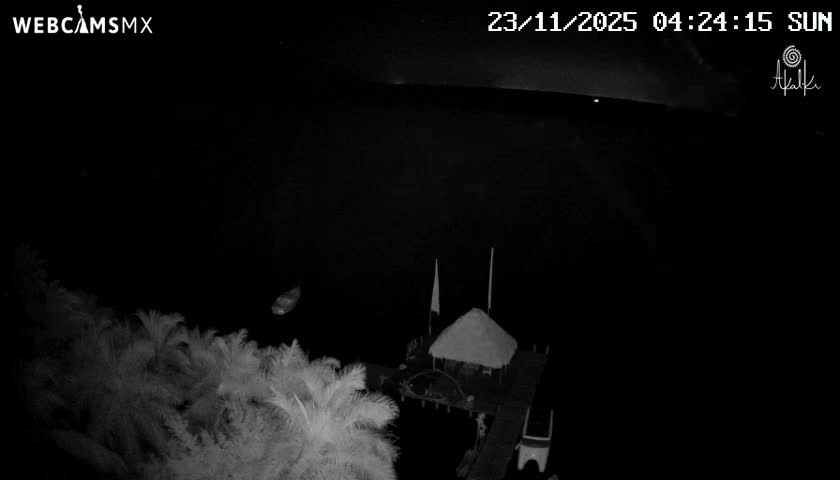 Under a clear night sky, this night vision image captures a tranquil outdoor scene featuring a thatched-roof palapa on a dock extending into calm dark water, with palm trees lining the left shore and a small boat afloat nearby.