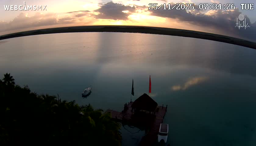 Under a clear night sky, this night vision image captures a tranquil outdoor scene featuring a thatched-roof palapa on a dock extending into calm dark water, with palm trees lining the left shore and a small boat afloat nearby.
