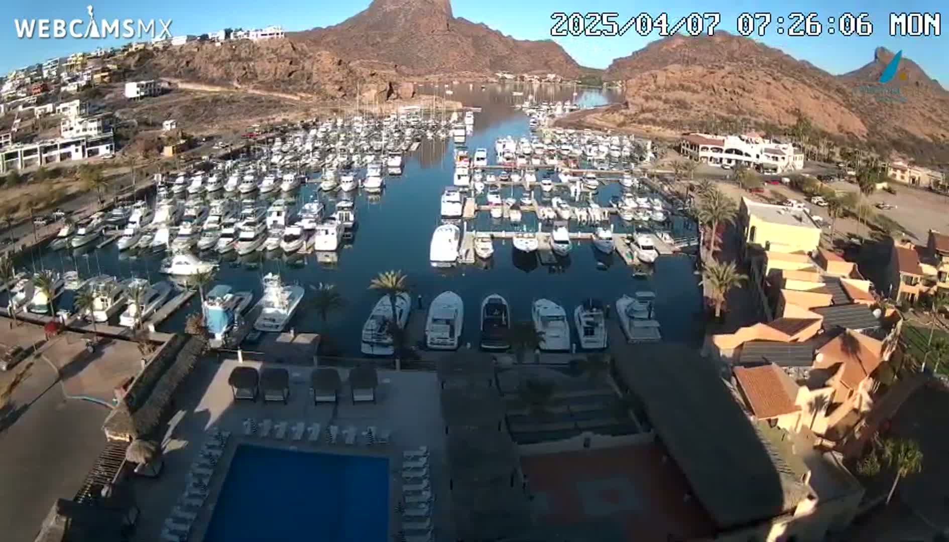 A marina filled with numerous boats is situated near buildings and a swimming pool, all under a clear, sunny sky.