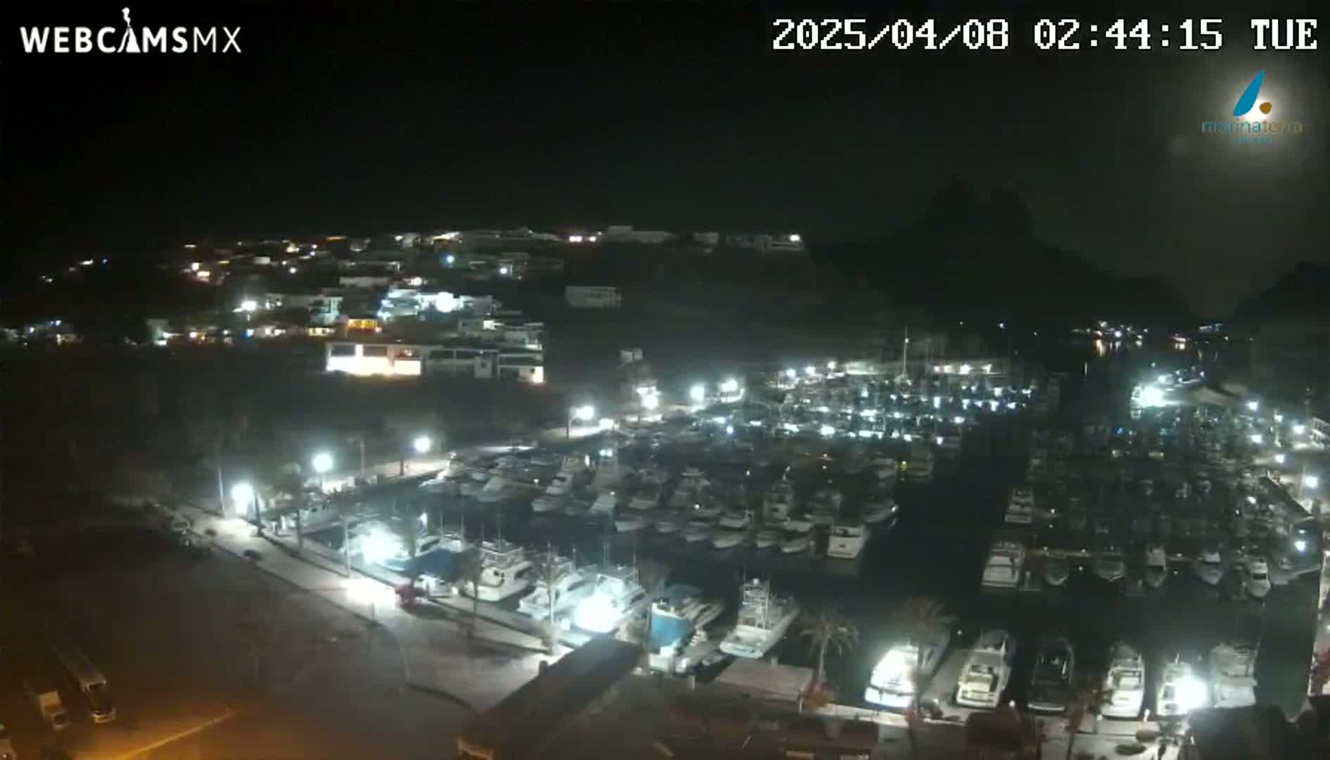 A nighttime aerial view of a marina filled with numerous boats, adjacent to a town illuminated by lights, under a clear, dark sky.