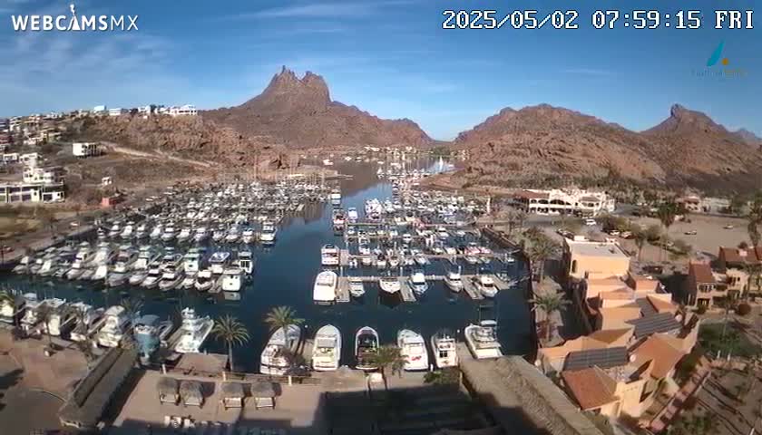 A marina filled with numerous boats is nestled between arid, rocky mountains under a clear, sunny sky.