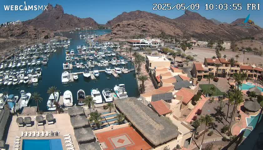 A marina filled with boats is nestled between arid, rocky hills under a clear, sunny sky, adjacent to a resort complex with a pool and thatch-roofed structures.