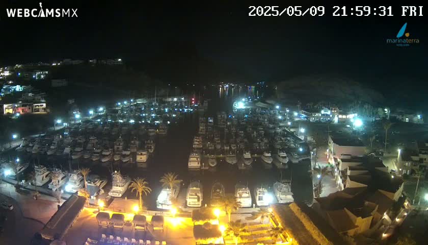 A nighttime view of a marina filled with numerous boats docked, surrounded by buildings and palm trees under a clear sky.