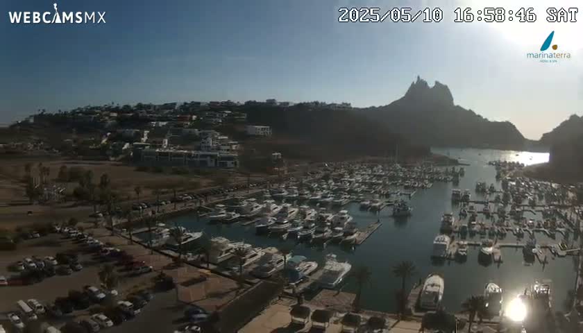 A marina filled with numerous boats is nestled below a hillside town, all under a clear, sunny sky.