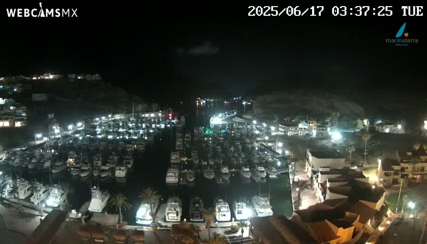 A nighttime aerial view of a marina filled with boats, surrounded by buildings and illuminated by lights under a mostly clear sky.