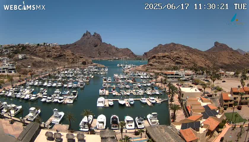 A marina filled with numerous boats is nestled between arid, rocky mountains under a clear, sunny sky.