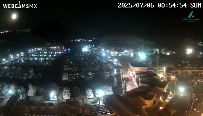 A nighttime, high-angle view of a marina filled with boats, adjacent to illuminated buildings under a bright moon.