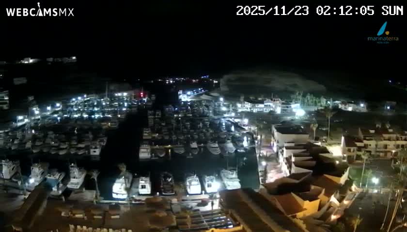 A brightly lit marina at night is filled with numerous boats, with illuminated buildings and palm trees visible under clear skies.