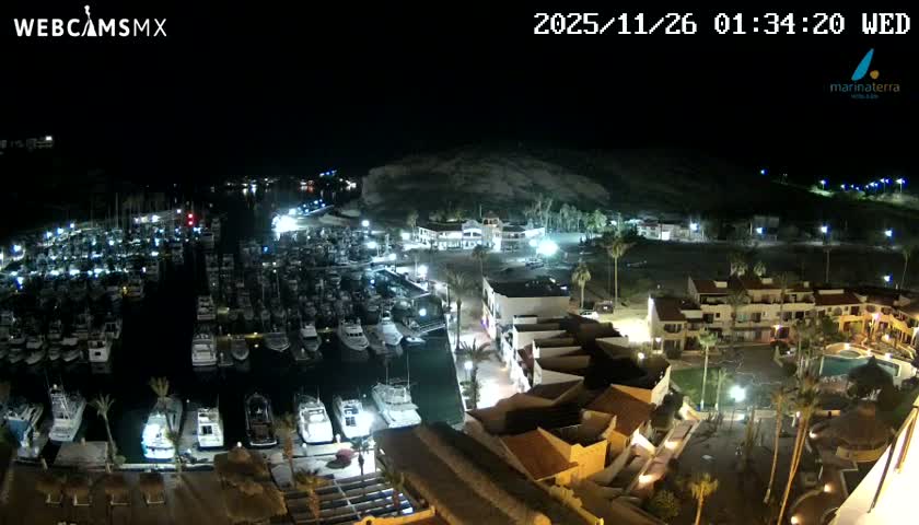 An expansive nighttime view shows a brightly lit marina bustling with numerous boats, flanked by illuminated resort buildings and palm trees, set against dimly visible hills under a clear dark sky.