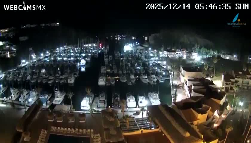 An expansive nighttime view shows a brightly lit marina bustling with numerous boats, flanked by illuminated resort buildings and palm trees, set against dimly visible hills under a clear dark sky.