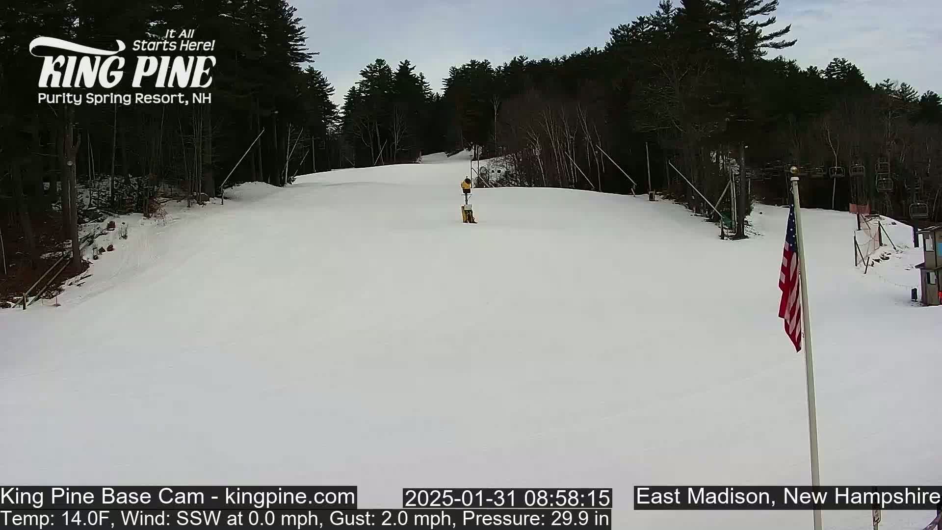 A snow-covered ski slope with a person skiing down it, surrounded by trees under an overcast sky.