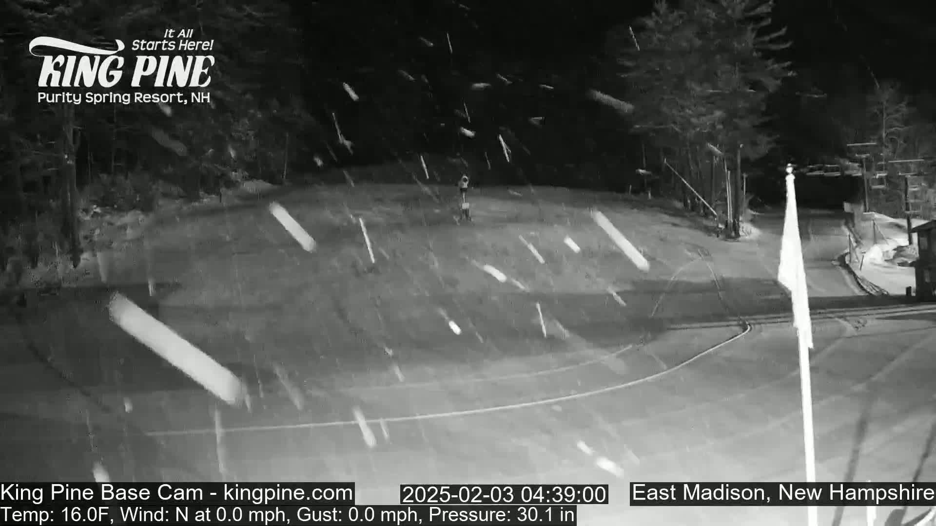 A nighttime, snow-covered scene shows a road with light snowfall and a few trees in the background.
