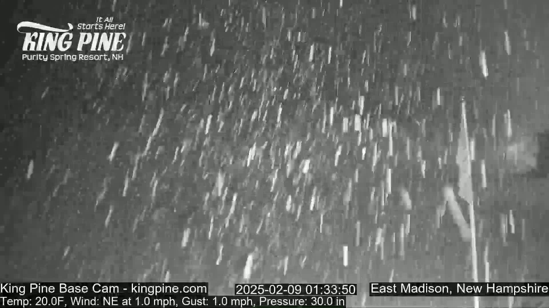 Snow falls at night in a dark, outdoor setting.