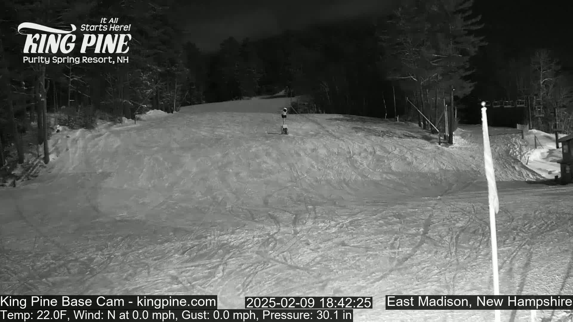 A nighttime, snow-covered ski slope with trees in the background under a clear sky.