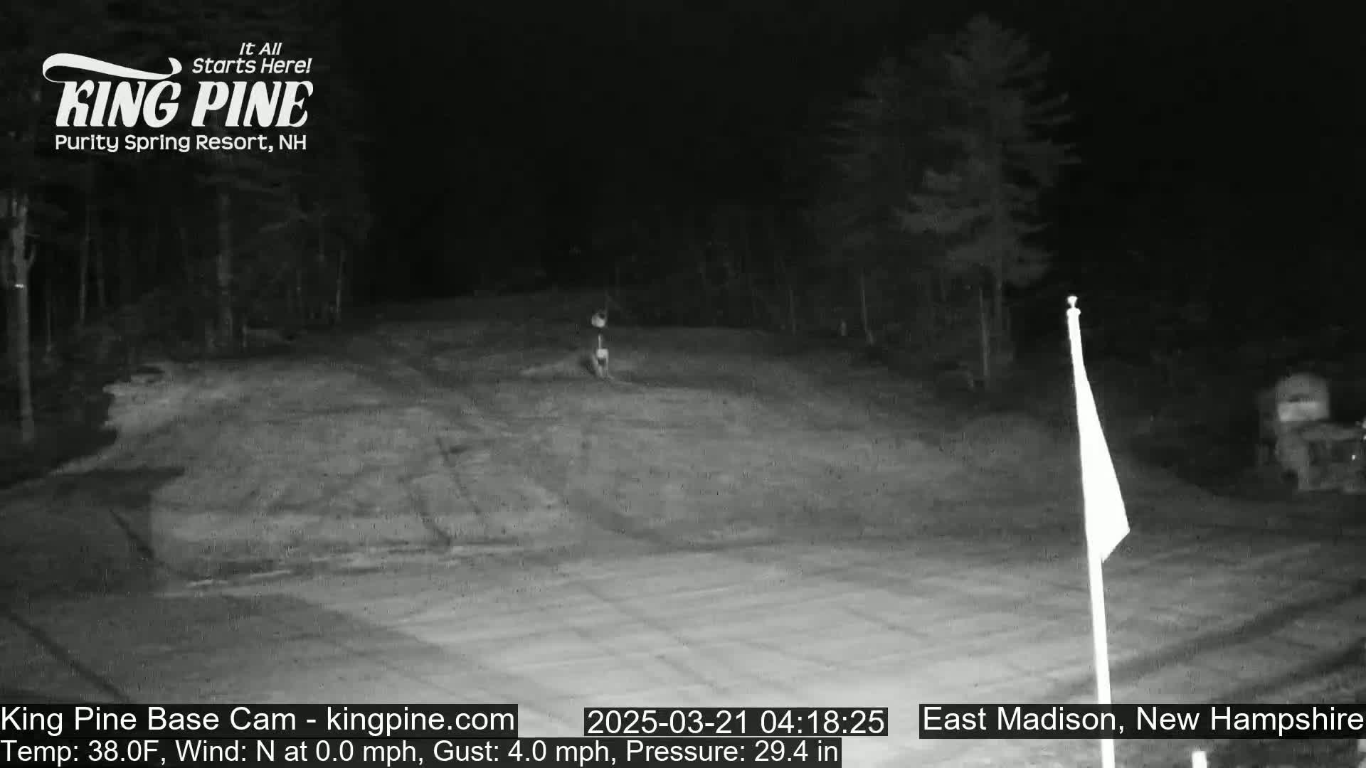 A nighttime, black-and-white view of a paved area, possibly a parking lot or roadway, bordered by trees under a dark sky.