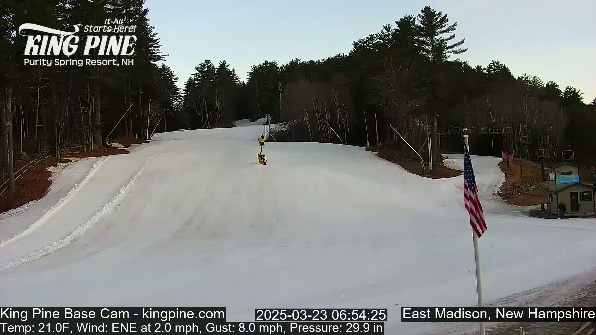 A person skis down a snow-covered slope in a wooded area under a clear sky.
