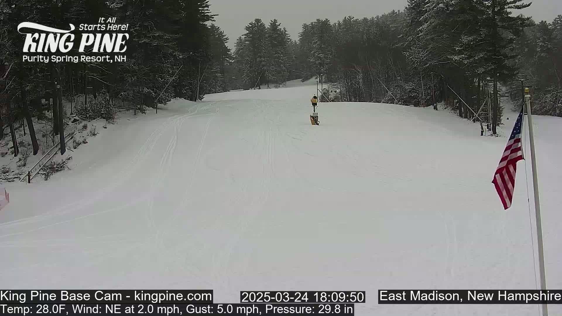 A snow-covered ski slope is visible, with a few trees in the background under an overcast sky.
