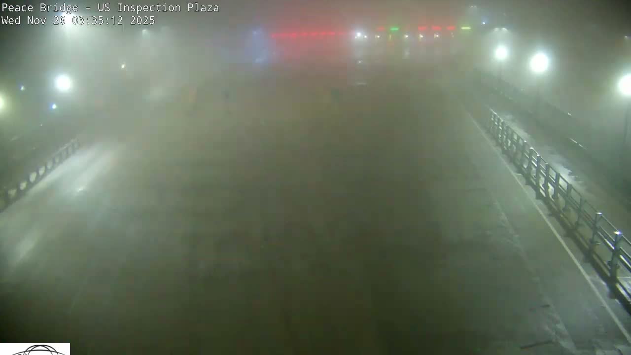 The image captures a severely foggy night scene on a wet road or bridge, dimly lit by streetlights and distant red and green lights.