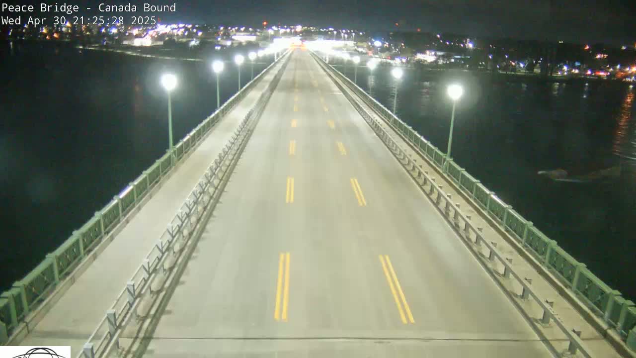 A mostly empty bridge at night stretches across dark water, with lights illuminating the roadway and railings.