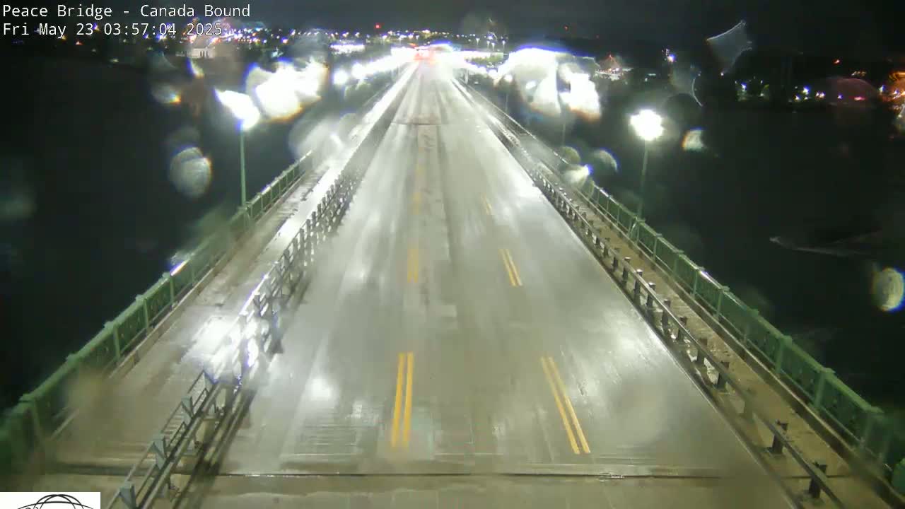 A rain-slicked highway on a bridge at night, illuminated by streetlights.