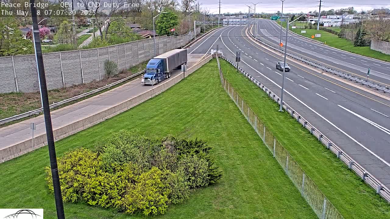 A blue semi-truck is parked on the side of a highway with green grass and trees on an overcast day.