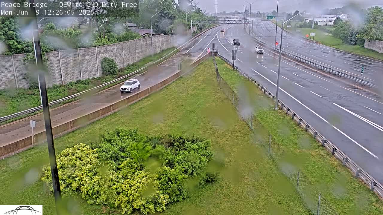 A rain-slicked highway with several cars driving, bordered by green grass and a concrete wall, under an overcast sky.