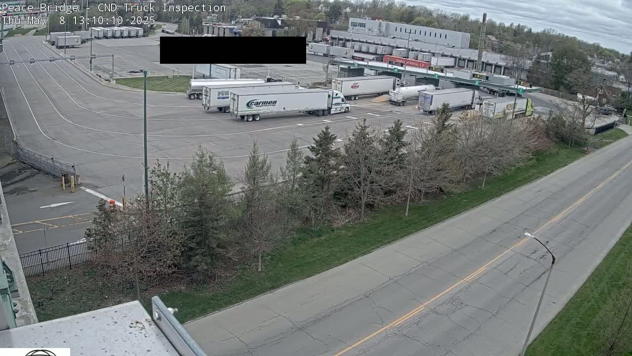 Several semi-trailer trucks are parked in a paved lot on an overcast day, next to a road lined with small trees.