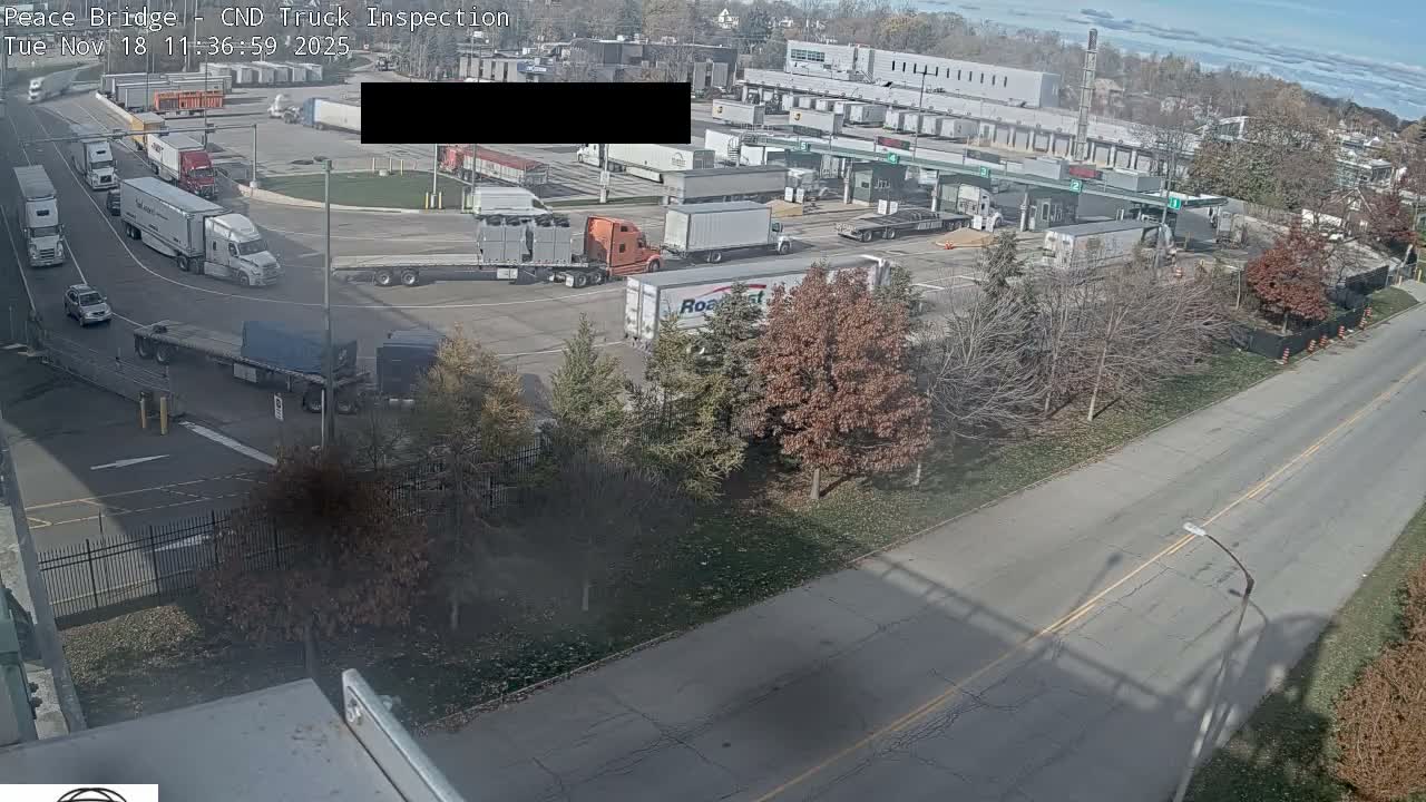 A nighttime view of a truck inspection area with several semi-trucks parked, and a roadway leading to it, under hazy conditions.