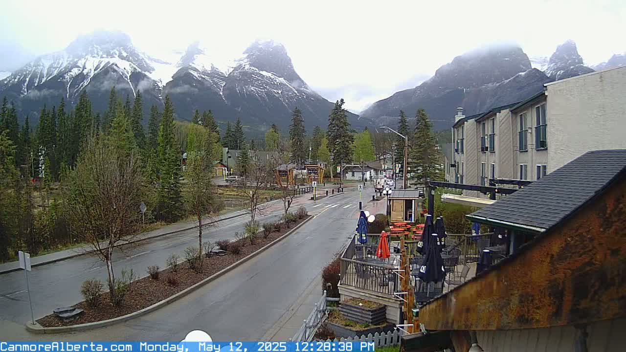 A wet road leads toward snow-capped mountains under an overcast sky, past buildings and trees in a town.