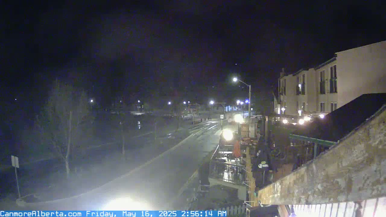 A wet, nighttime street scene shows a roadway curving past a multi-story building with exterior lighting, and bare trees beside the road.