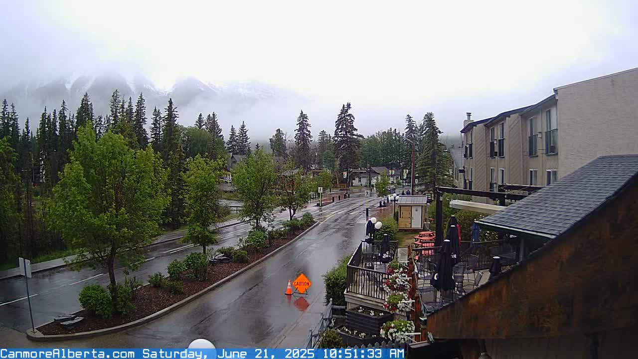 A wet street scene shows a town nestled among evergreen trees and mountains shrouded in fog under a rainy sky.