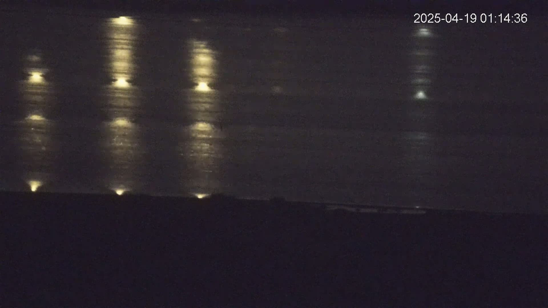 Moonlight reflects in vertical streaks on a dark body of water at night.