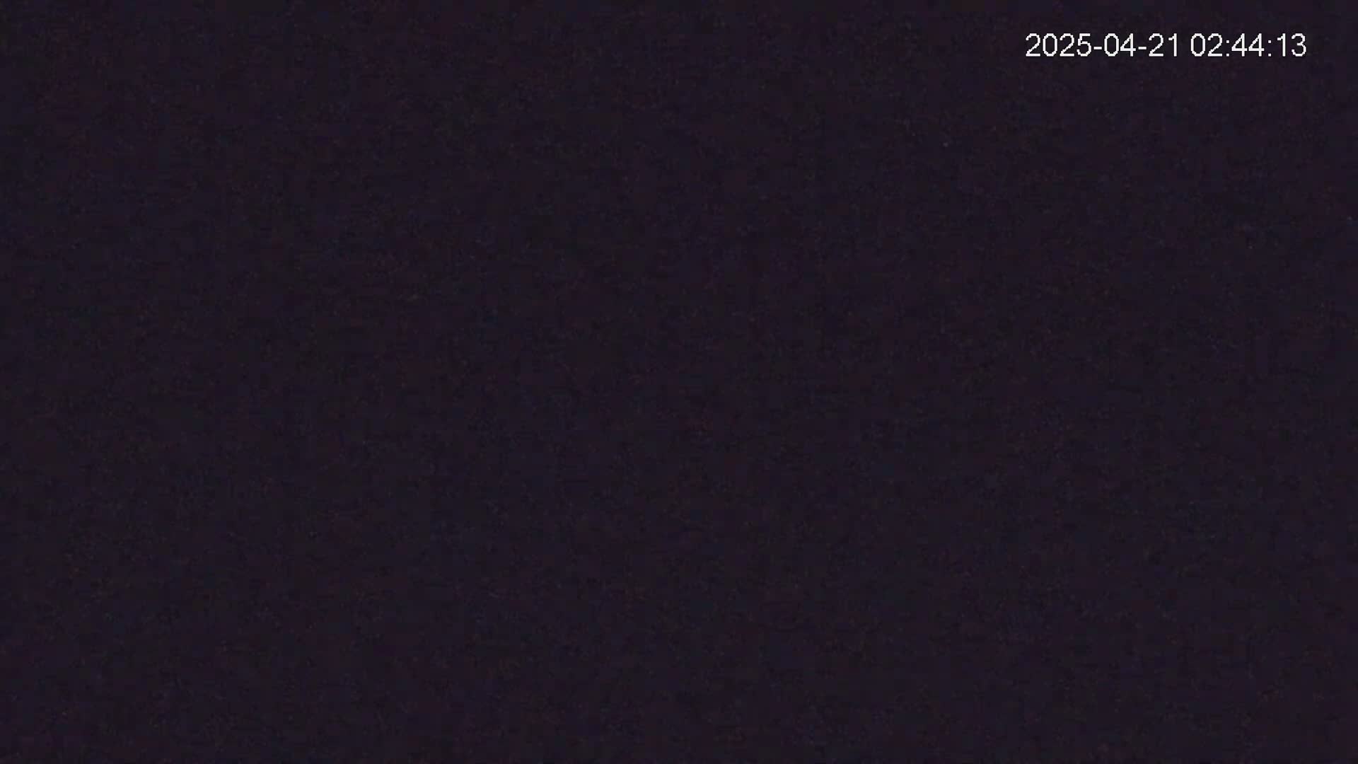 The image shows a uniformly dark, textured surface under what appears to be nighttime conditions.