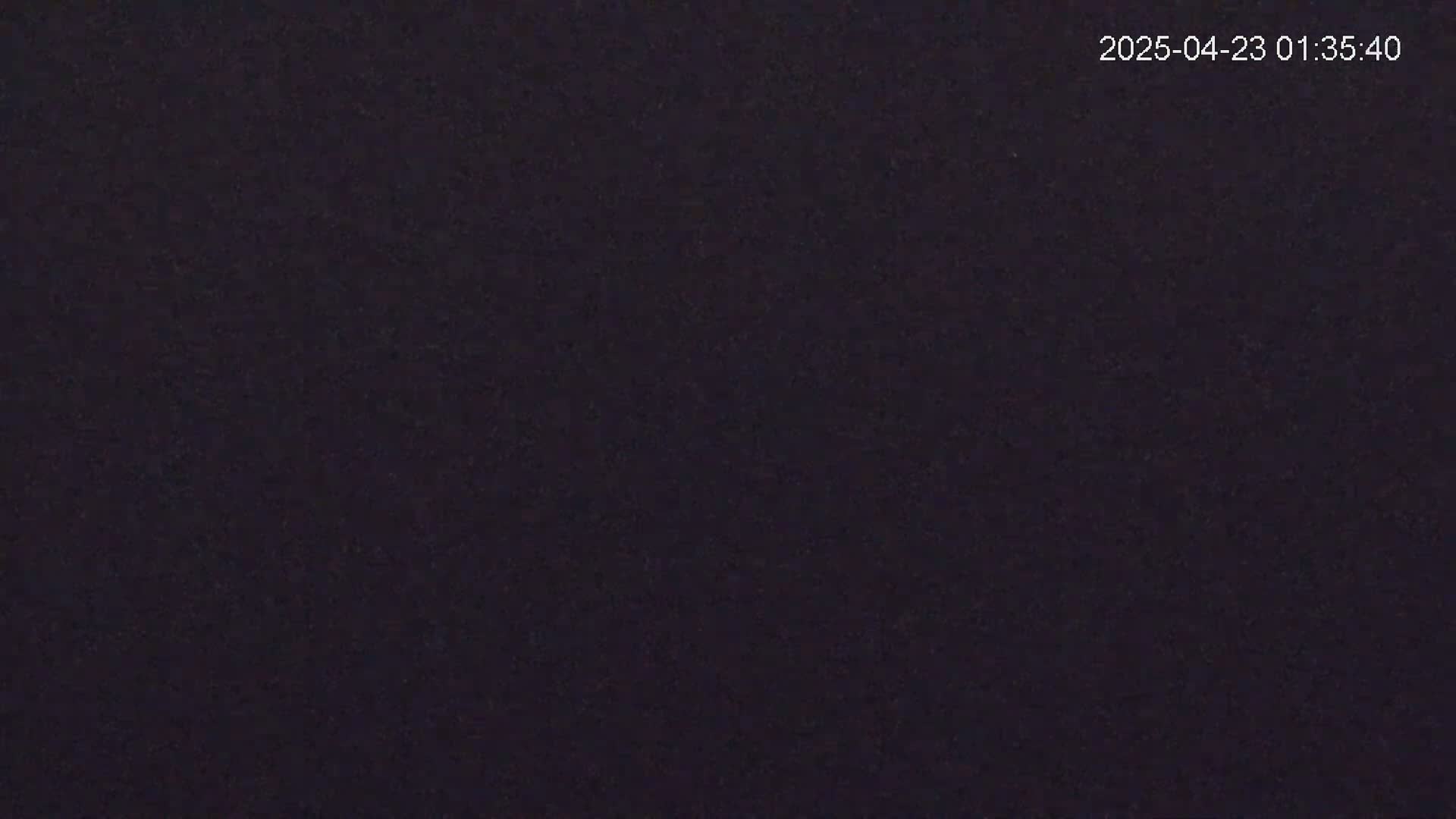 A dark, possibly nighttime, image shows a uniformly dark purple-gray textured surface.