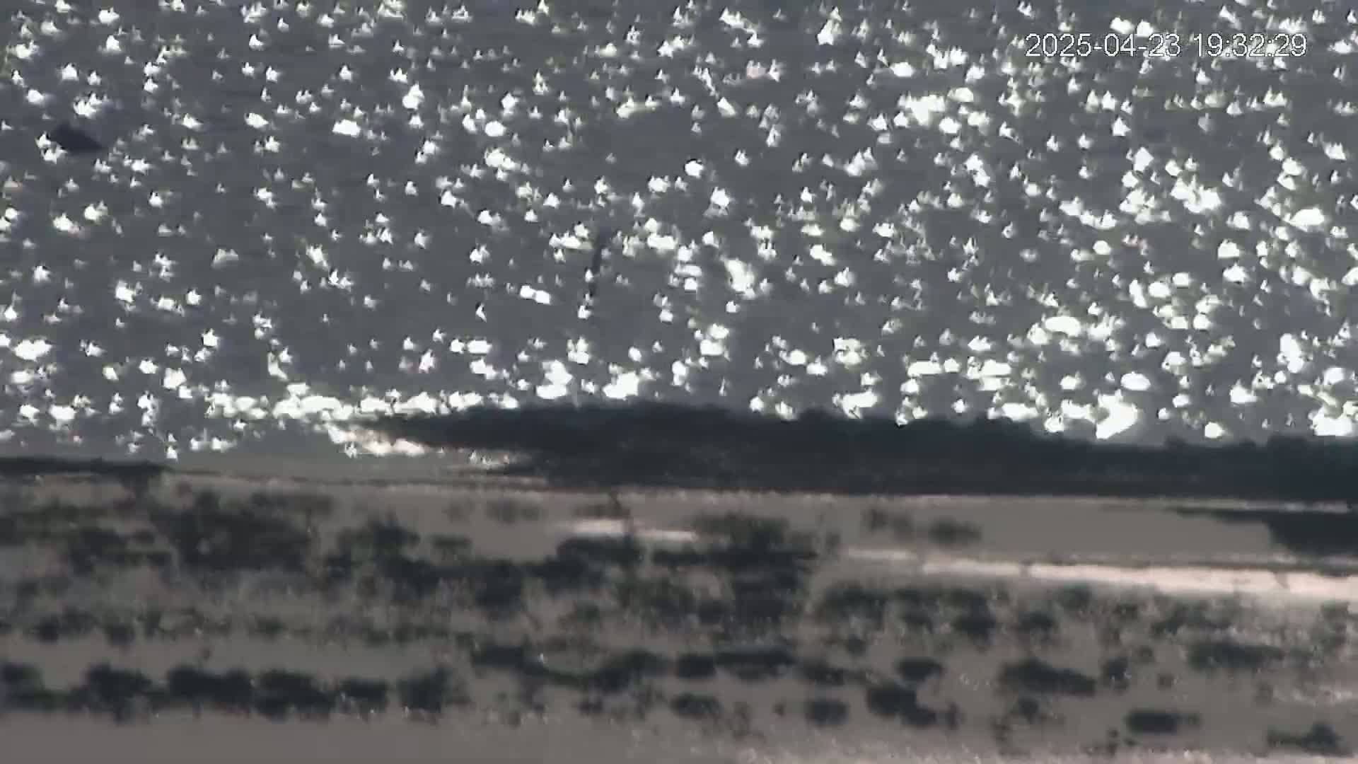A body of water with a sparkling surface from sunlight is visible above a dark shoreline.
